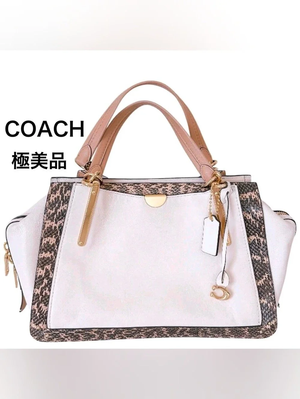 Coach Dreamer 36 in Colorblock with Genuine Snakeskin Details